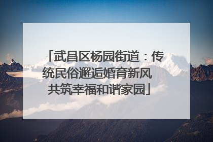 武昌区杨园街道：传统民俗邂逅婚育新风 共筑幸福和谐家园