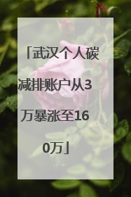 武汉个人碳减排账户从3万暴涨至160万