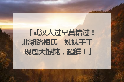 武汉人过早莫错过！北湖路梅氏三姊妹手工现包大馄饨，超鲜！