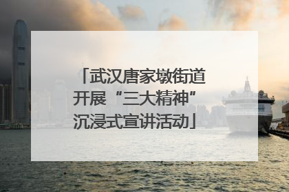 武汉唐家墩街道开展“三大精神”沉浸式宣讲活动