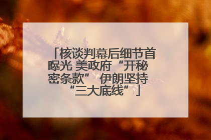 核谈判幕后细节首曝光 美政府“开秘密条款” 伊朗坚持“三大底线”