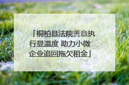 桐柏县法院善意执行显温度 助力小微企业追回拖欠租金