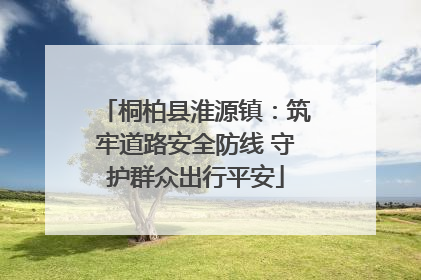 桐柏县淮源镇：筑牢道路安全防线 守护群众出行平安