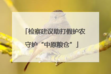 检察建议助打假护农守护“中原粮仓”
