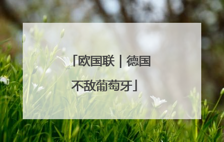 欧国联｜德国不敌葡萄牙