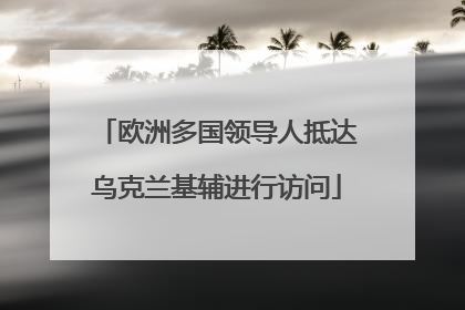 欧洲多国领导人抵达乌克兰基辅进行访问