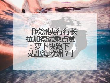 欧洲央行行长拉加德试乘点赞：萝卜快跑下一站出海欧洲？