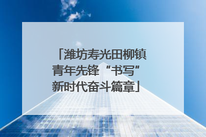 潍坊寿光田柳镇青年先锋“书写”新时代奋斗篇章