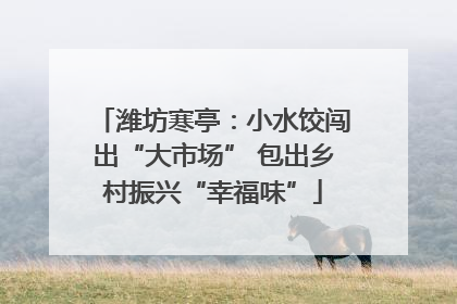 潍坊寒亭：小水饺闯出“大市场” 包出乡村振兴“幸福味”