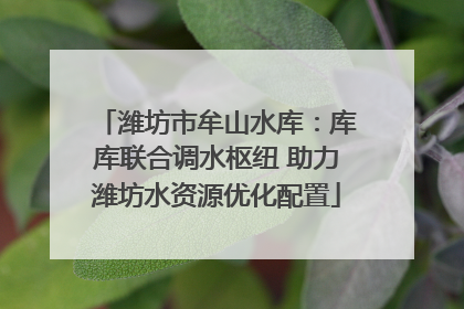潍坊市牟山水库：库库联合调水枢纽 助力潍坊水资源优化配置