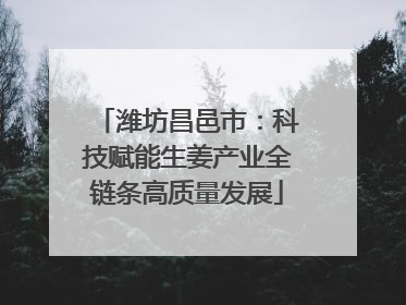 潍坊昌邑市：科技赋能生姜产业全链条高质量发展