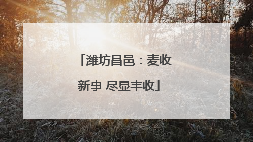 潍坊昌邑：麦收新事 尽显丰收