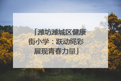 潍坊潍城区健康街小学：跃动绳彩展现青春力量