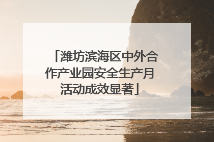 潍坊滨海区中外合作产业园安全生产月活动成效显著