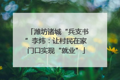 潍坊诸城“兵支书”李炜：让村民在家门口实现“就业”
