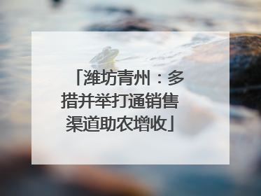 潍坊青州：多措并举打通销售渠道助农增收