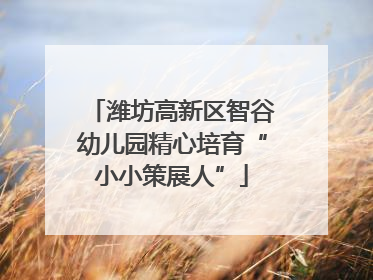 潍坊高新区智谷幼儿园精心培育“小小策展人”