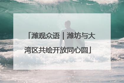 潍观众语｜潍坊与大湾区共绘开放同心圆