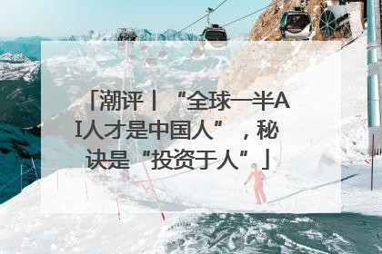 潮评丨“全球一半AI人才是中国人”，秘诀是“投资于人”