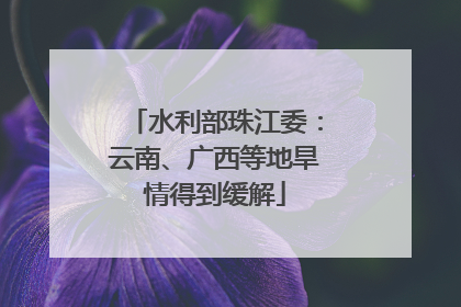 水利部珠江委：云南、广西等地旱情得到缓解