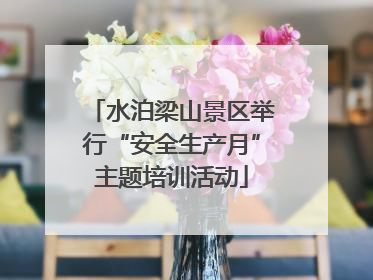 水泊梁山景区举行“安全生产月”主题培训活动