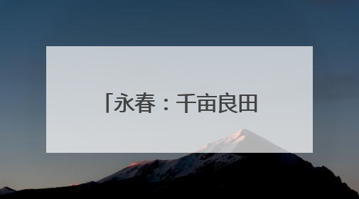 永春：千亩良田筑根基 产业融合绘“丰”景