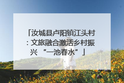 汝城县卢阳镇江头村：文旅融合激活乡村振兴 “一池春水”