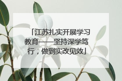 江苏扎实开展学习教育——坚持深学笃行，做到实改见效