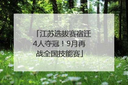江苏选拔赛宿迁4人夺冠！9月再战全国技能赛