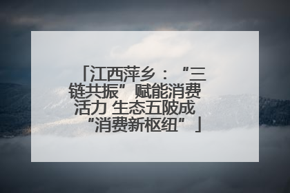 江西萍乡：“三链共振”赋能消费活力 生态五陂成“消费新枢纽”