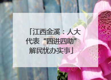 江西金溪：人大代表“四进四助”解民忧办实事