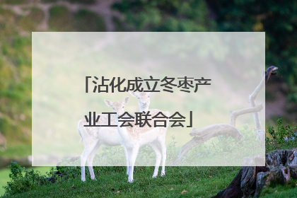 沾化成立冬枣产业工会联合会