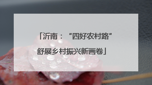 沂南：“四好农村路”舒展乡村振兴新画卷