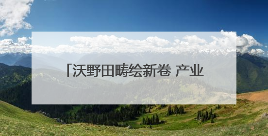 沃野田畴绘新卷 产业发展谱新篇——陕西岚皋乡村振兴走访见闻