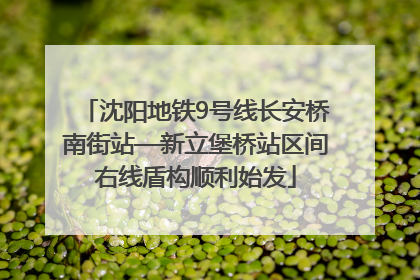 沈阳地铁9号线长安桥南街站—新立堡桥站区间右线盾构顺利始发