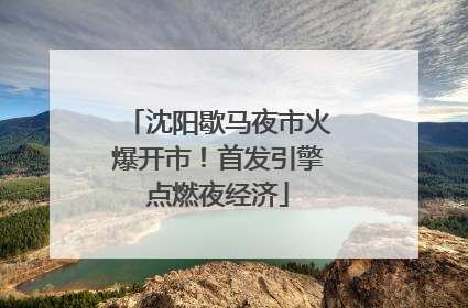 沈阳歇马夜市火爆开市！首发引擎点燃夜经济
