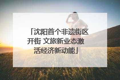 沈阳首个非遗街区开街 文旅新业态激活经济新动能