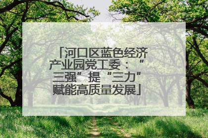 河口区蓝色经济产业园党工委：“三强”提“三力”赋能高质量发展