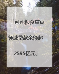 河南粮食重点领域贷款余额超2595亿元