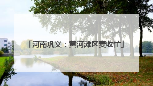 河南巩义：黄河滩区麦收忙