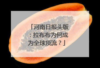 河南日报头版：拉布布为何成为全球顶流？