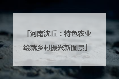 河南沈丘：特色农业绘就乡村振兴新图景
