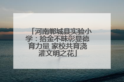 河南郸城县实验小学：拾金不昧彰显德育力量 家校共育浇灌文明之花