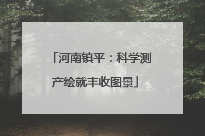 河南镇平：科学测产绘就丰收图景