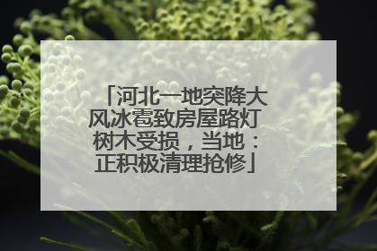 河北一地突降大风冰雹致房屋路灯树木受损，当地：正积极清理抢修