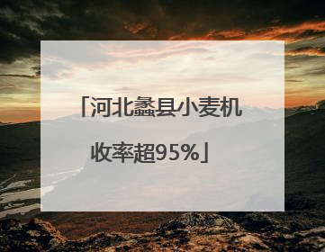 河北蠡县小麦机收率超95%