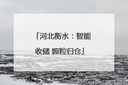 河北衡水：智能收储 颗粒归仓