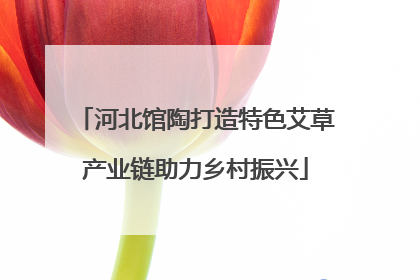河北馆陶打造特色艾草产业链助力乡村振兴