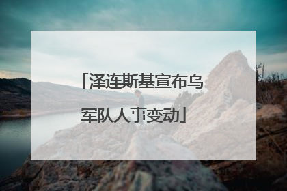 泽连斯基宣布乌军队人事变动