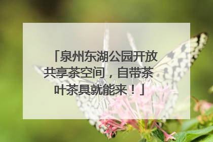 泉州东湖公园开放共享茶空间，自带茶叶茶具就能来！